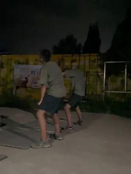 猎人成人训练营攻略视频,高效提升自我，解锁潜能新境界