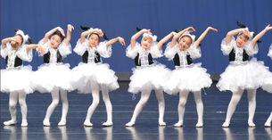 成人舞蹈服怎么叠视频