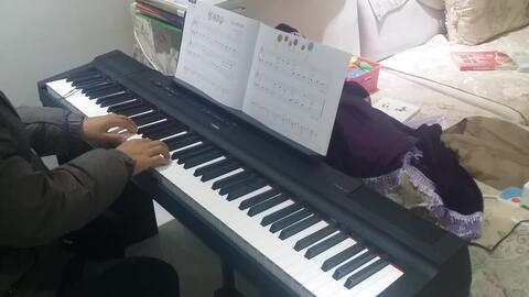 成人钢琴自学b站视频,轻松入门，掌握钢琴演奏技巧