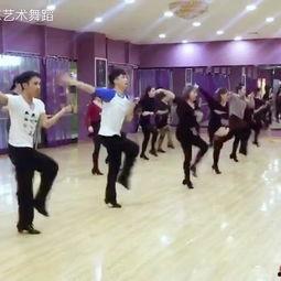 张士成人舞蹈视频大全,经典舞步与精彩瞬间大盘点