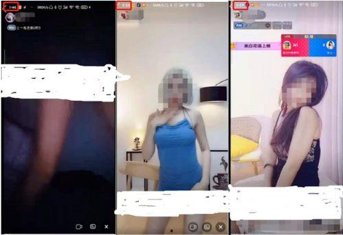 怡红苑成人免费视频