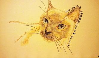 猫改成人插画视频,猫改成人插画视频的奇幻之旅