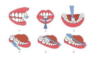 成人刷牙正确视频大全教程,成人刷牙视频教程精选汇总