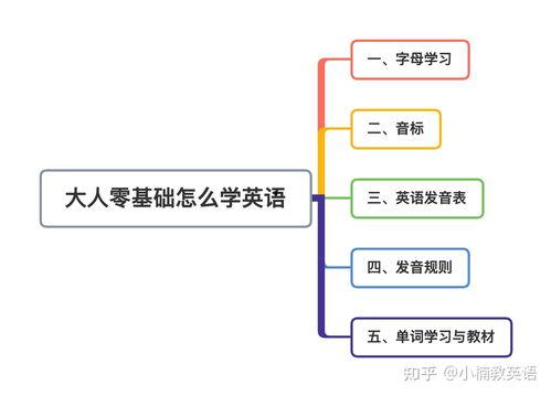 成人学识字教程视频讲解,视频讲解核心内容概述