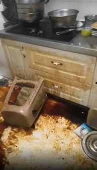 成人学习做饭视频,跟随视频教程学做家常美食