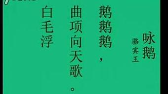 唐诗成人朗读视频大全集,经典诗篇朗读视听盛宴