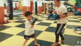 家里成人散打入门好吗视频,跟随视频轻松掌握自卫技能