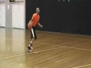成人篮球视频教学大全集,成人篮球视频教学大全集精华解析