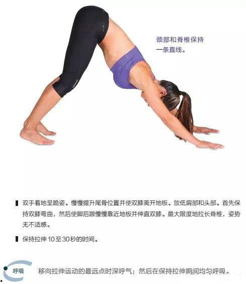 成人跳高长高动作视频