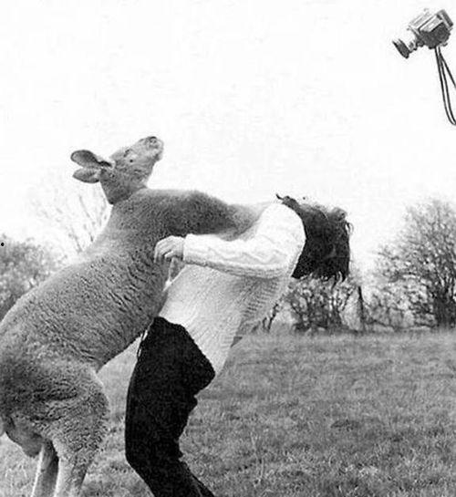 尼尔斯变成人的瞬间视频,跨越时空的奇幻之旅