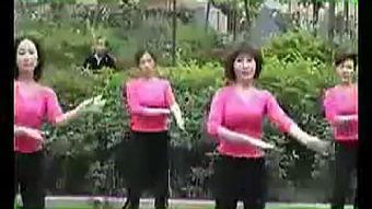 成人系列在线视频,深度解析内容与价值