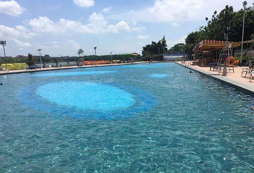 成人江边游泳好吗视频讲解,专业视频解析