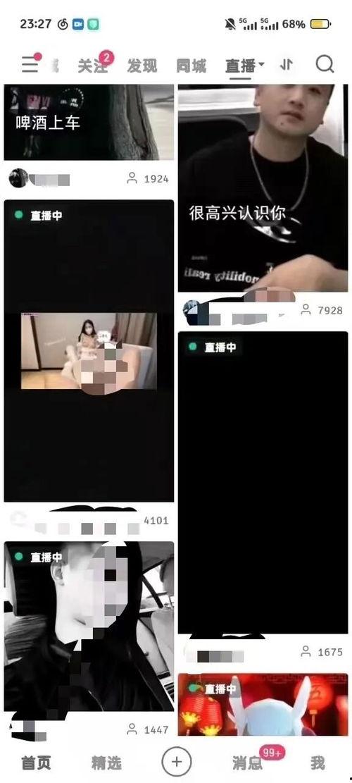 成人成人短视频,成人内容的新趋势与影响