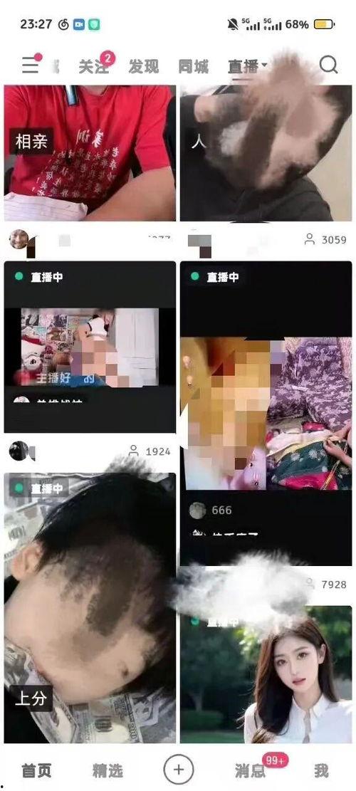 成人成人短视频,成人内容的新趋势与影响