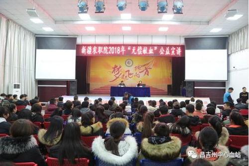 成人献血宣讲视频大全,全方位解读献血宣讲视频大全