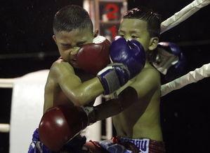 成人拳击完整团课视频,高效燃脂、塑形训练全解析